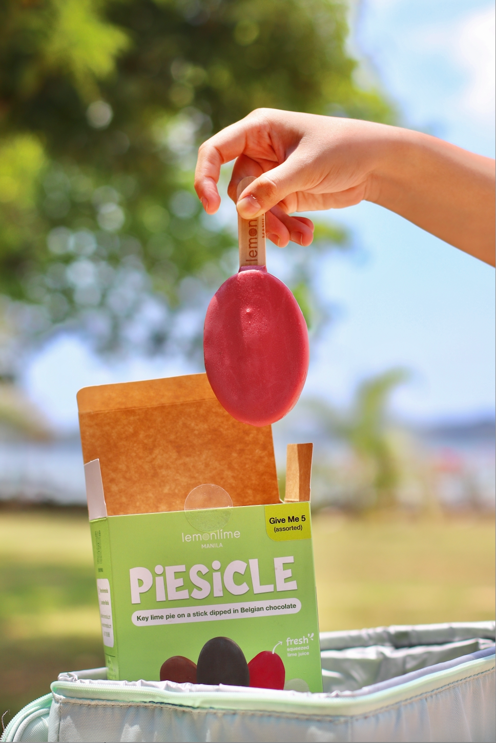 Miss Ruby - Box of 5